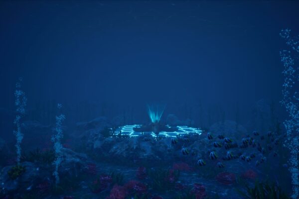 MarineLife_Images_01