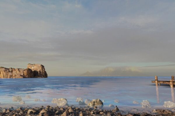 MarineLife_Images_010