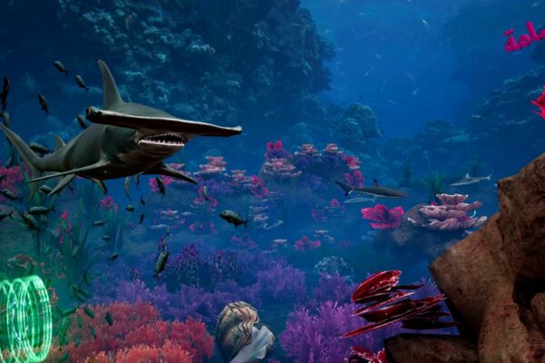 MarineLife_Images_013