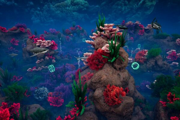 MarineLife_Images_014