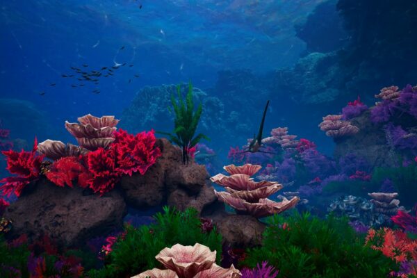 MarineLife_Images_02