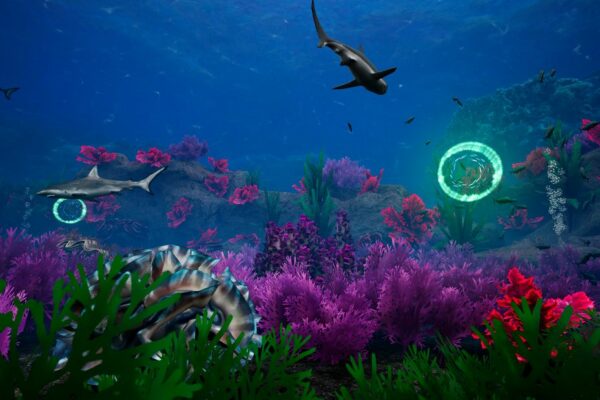 MarineLife_Images_05