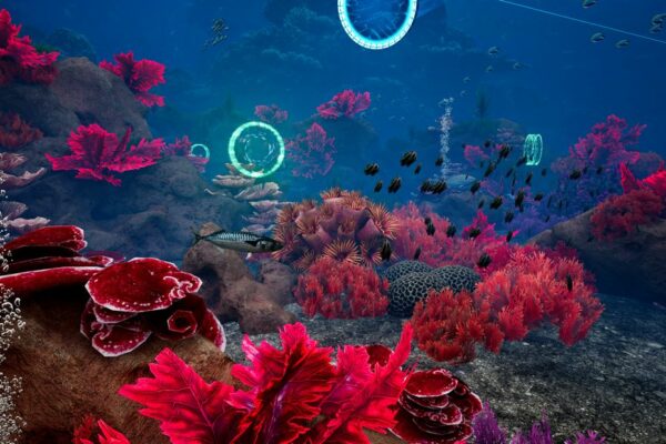 MarineLife_Images_06